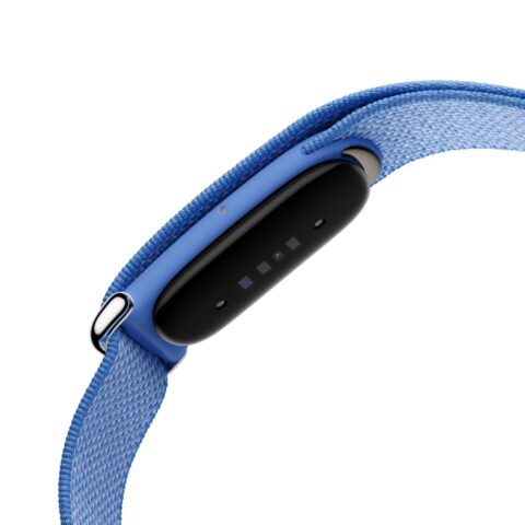 Fitbit-Air-sensors